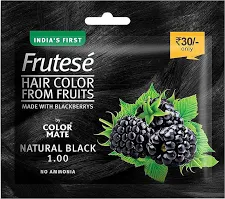 FRUTESE HAIR COLOR BLACK