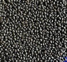 KAPPU UDDINAKALU 500GM