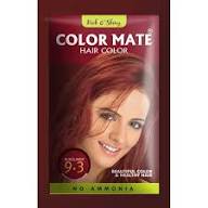 RISE & SHINY COLOR MATE BURGUNDY HAIR COLOUR