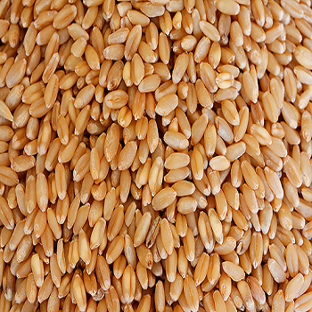 GODI (WHEAT) 1KG